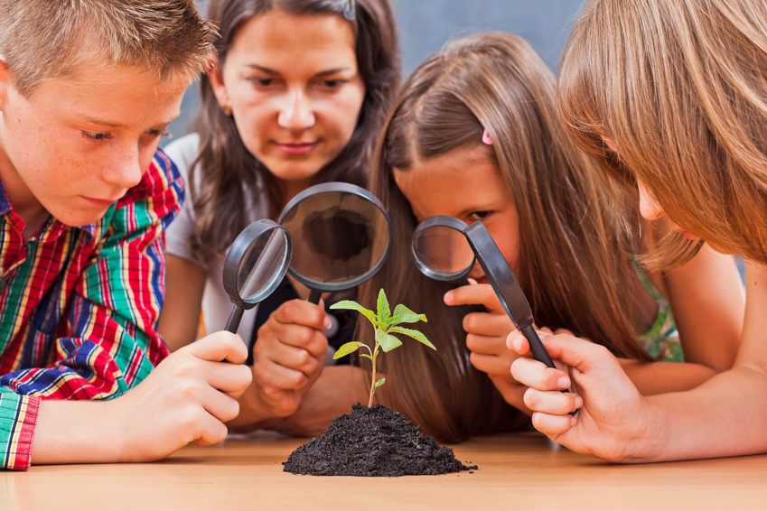 Biologie an der Geschwister Scholl Realschule Mönchengladbach